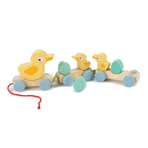 Tender Leaf Toys Pull Along Ducks freeshipping - Tots of Crown